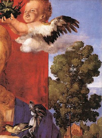 Albrecht Durer Madonna with the Siskin oil painting image